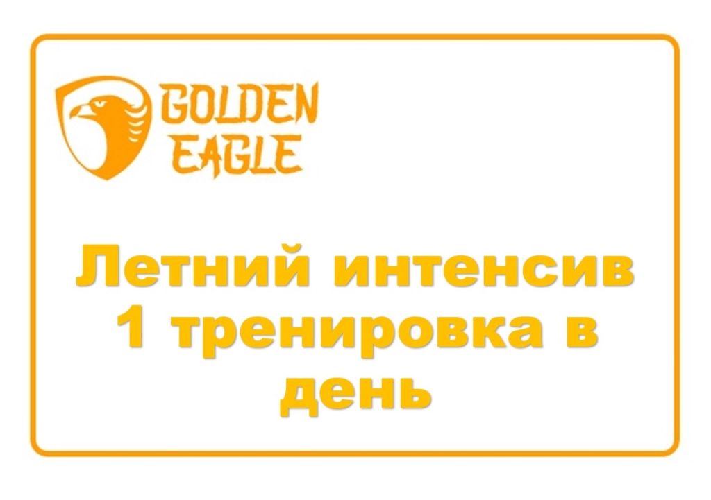 Абонемент на летний интенсив 1 тренировка в день 17.08-28.08