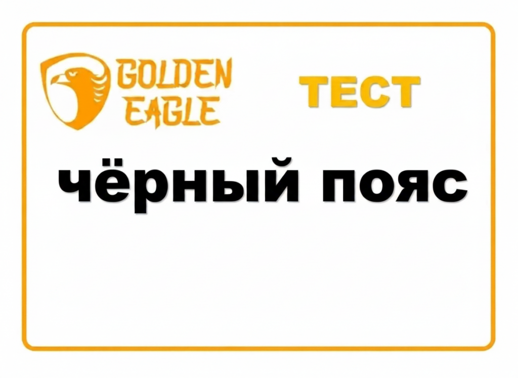 Тестирование черный пояс